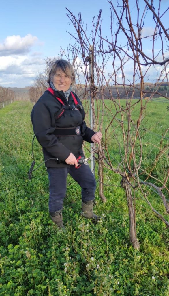 Michèle taille vigne